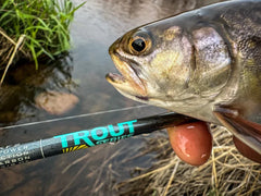 TROUT SERIES PACK / ST.CROIX
