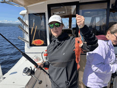 Sortie sur le fjord du Saguenay (Journée complète)