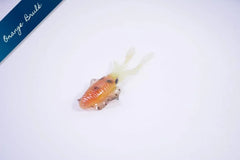 GLOW SQUID ''FAT PAT'' MDP