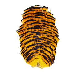 SHOR FISHING COLLERETTE DE FAISAN DORÉ