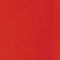 SHOR FISHNG PLUMES D'OIE