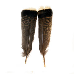 SHOR FISHING QUEUE DE DINDE