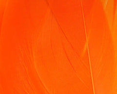 HARELINE SELECT GOOSE SHOULDER