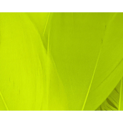 HARELINE SELECT GOOSE SHOULDER