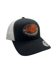 CASQUETTE ACCOMMODATION DES 21