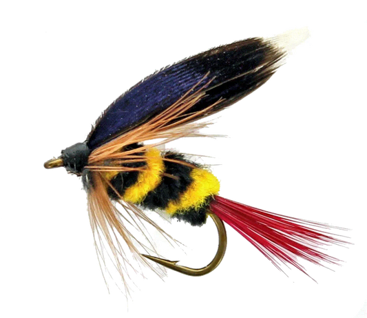 MOUCHES NOYÉES MONTÉES SUR NERF MCGINTY