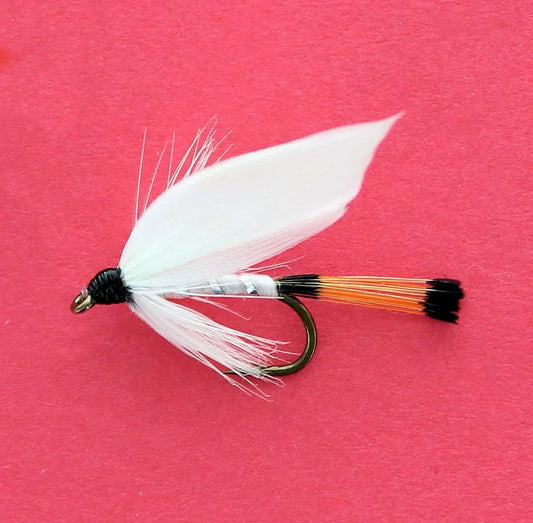 MOUCHES NOYÉES MONTÉES SUR NERF WHITE MILLER