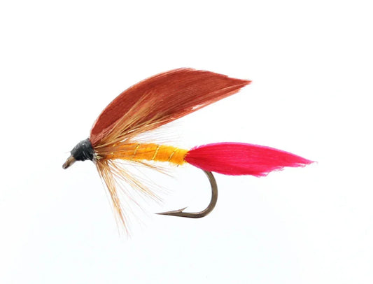 MOUCHES NOYÉES MONTÉES SUR NERF LAURENTIDE PARK