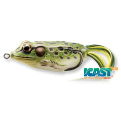 HOLLOW BODY FROG / LIVE TARGET