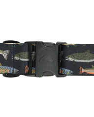 WADING BELT 2'' TROUT PARADE / SIMMS