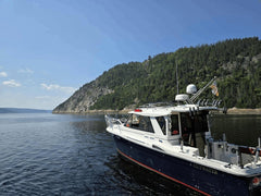 Sortie sur le fjord du Saguenay (Demi-journée)