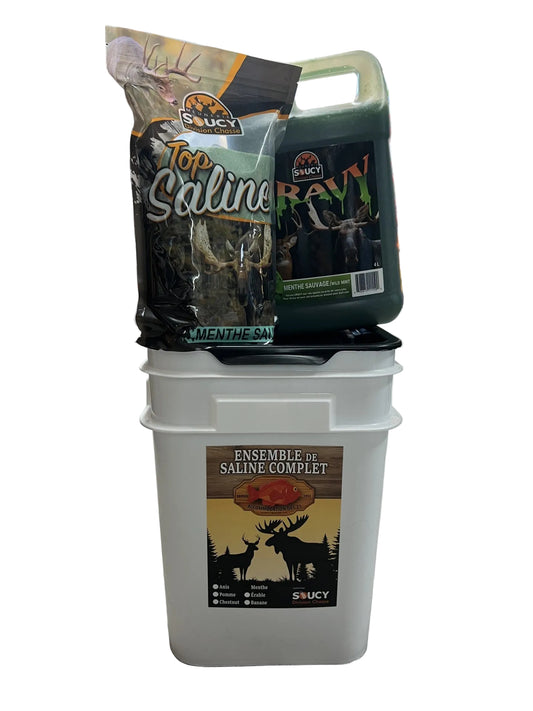 CHAUDIÈRE SALINE COMPLÈTE 5/1 MENTHE / MEUNERIE SOUCY