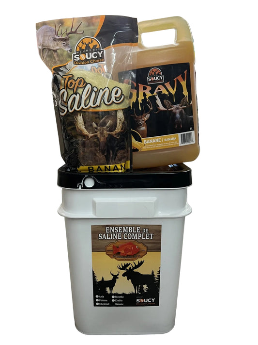 CHAUDIÈRE SALINE COMPLÈTE 5/1 BANANE / MEUNERIE SOUCY