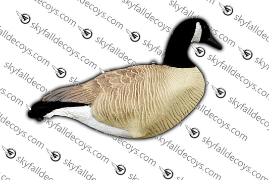 BERNACHE / SKYFALL DECOYS