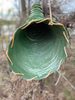 THE HARVEST CURVED MOOSE CALL HORN / JOHNNY THE MOOSE CALL