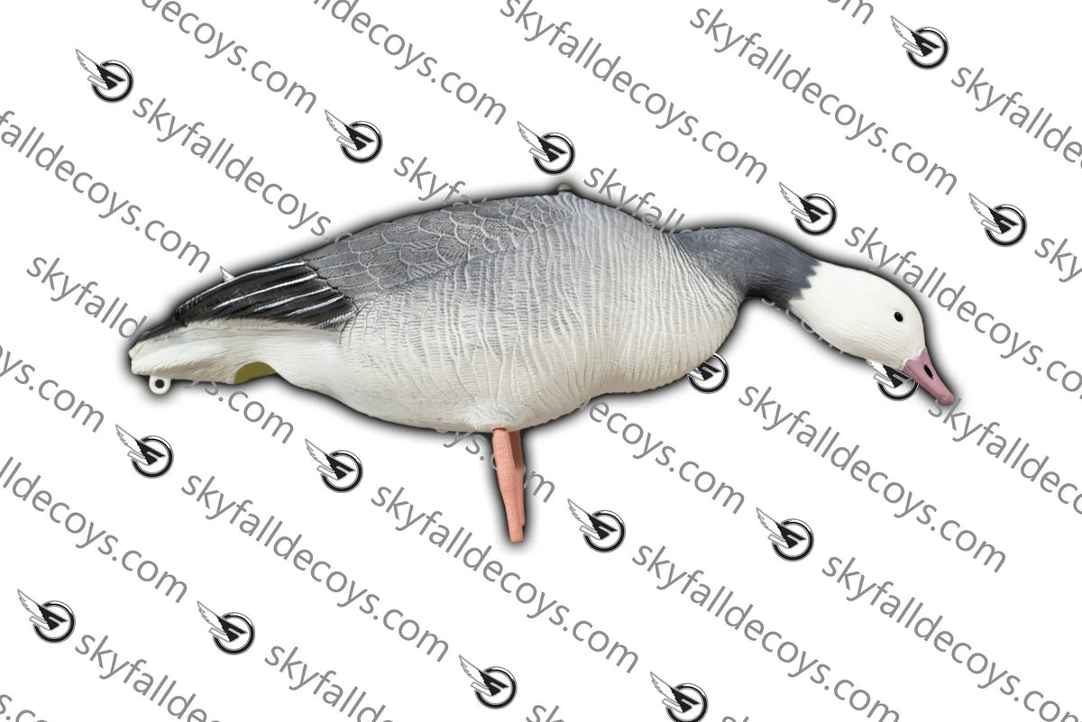 OIE BLEU / SKYFALL DECOYS