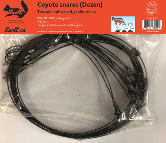 COLLETS POUR COYOTE / OUELL