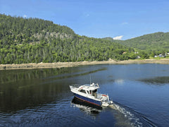 Sortie sur le fjord du Saguenay (Demi-journée)