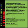 LEURRE SEXUEL INTENSE SYNTHÉTIQUE / MANIAQUE DE PROSPECTION