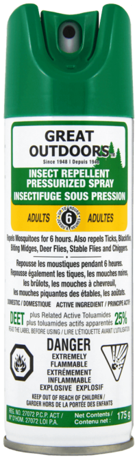 INSECT REPPELLENT 25% DEET AEROSOL SPRAY  175G / GREAT OUTDOORS