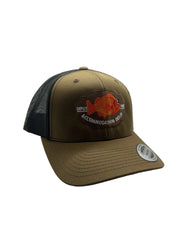 CASQUETTE ACCOMMODATION DES 21