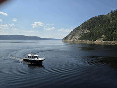 Sortie sur le fjord du Saguenay (Demi-journée)