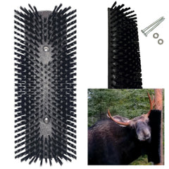 BROSSE À ORIGNAL / STÉPHANE BELLEY