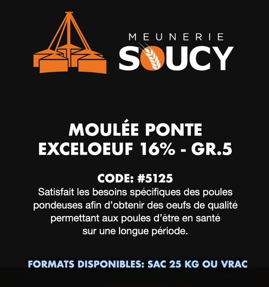 MOULÉE PONTE EXCELOEUF 16% GR.5 / MEUNERIE SOUCY