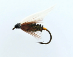 COACHMAN WET SNELLED FLY