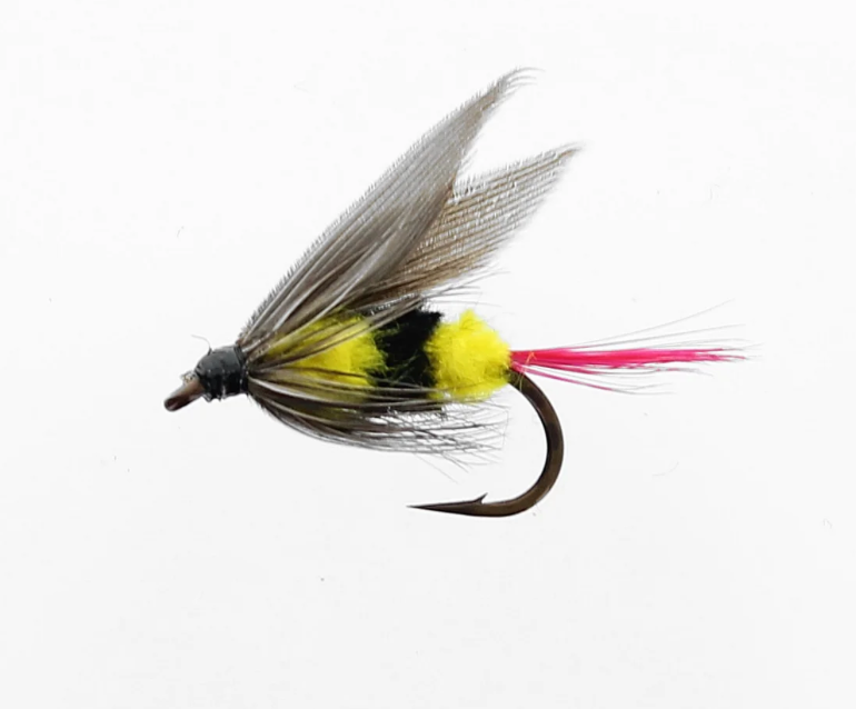 WESTERN BEE WET SNELLED FLY / ÉTIC