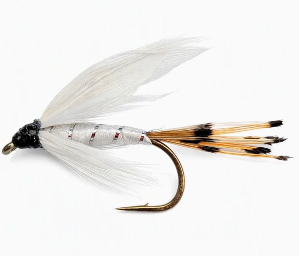 WHITE MILLER WET SNELLED FLY / ÉTIC