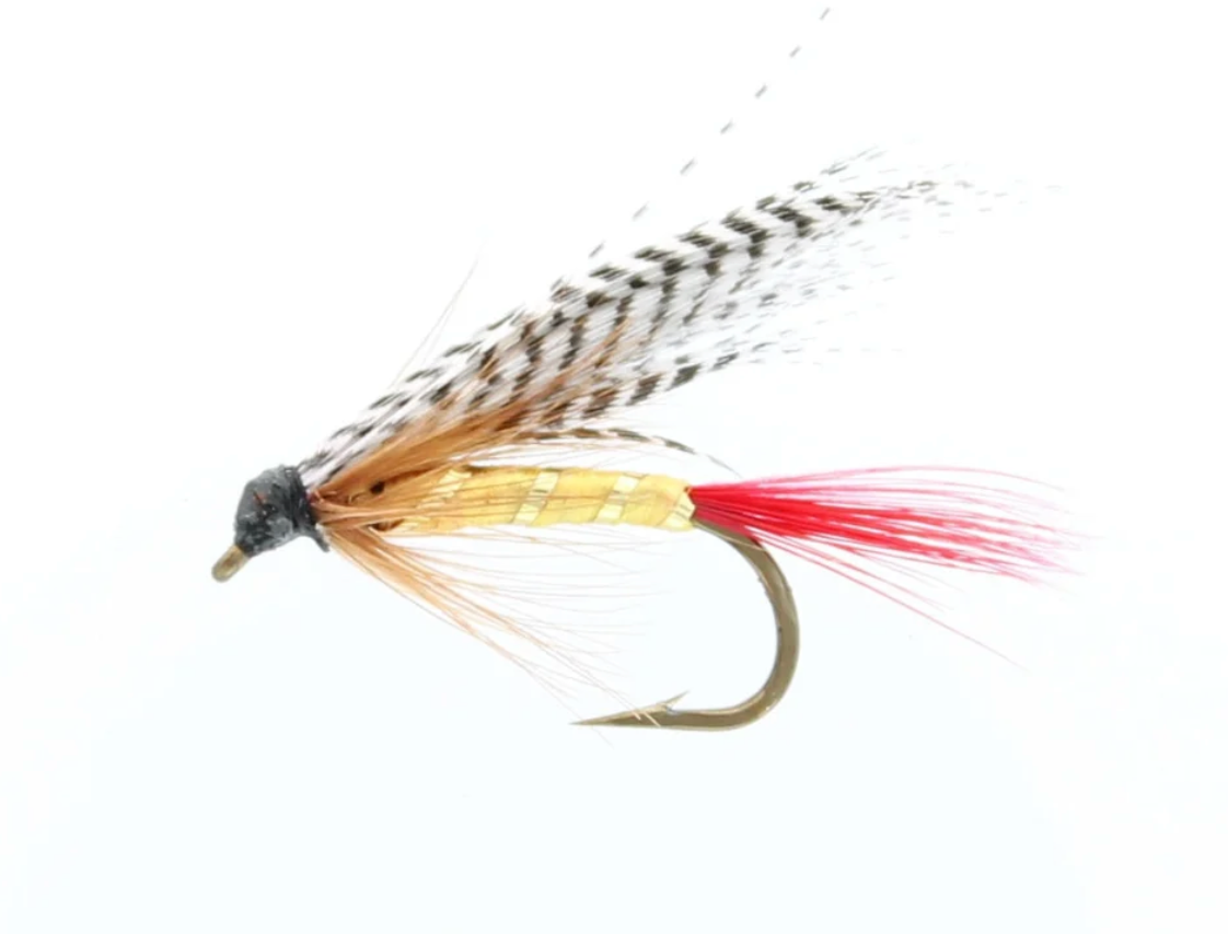 PROFESSOR WET SNELLED FLY / ÉTIC