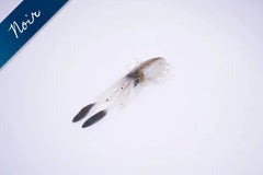 GLOW SQUID ''FAT PAT'' MDP