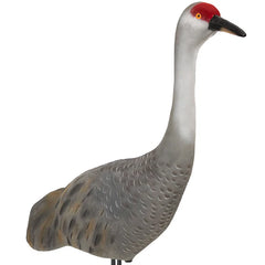 LIVE SANDHILL CRANE DECOYS UPRIGHT - 2 PACK / FINAL APPROACH