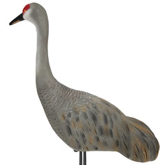 LIVE SANDHILL CRANE DECOYS UPRIGHT - 2 PACK / FINAL APPROACH