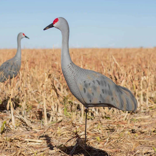 LIVE SANDHILL CRANE DECOYS UPRIGHT - 2 PACK / FINAL APPROACH
