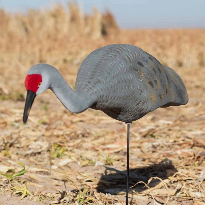 LIVE FULLY FLOCKED SANDHILL CRANE DECOYS FEEDER - 2 PACK