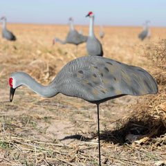 LIVE FULLY FLOCKED SANDHILL CRANE DECOYS FEEDER - 2 PACK