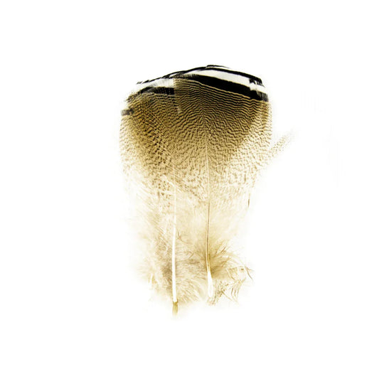 SHOR FISHING CANARD BRANCHU