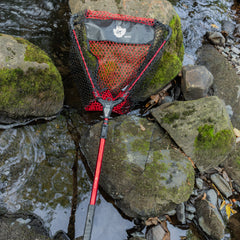 ÉPUISETTE DREAMCATCH / NATURMANIA