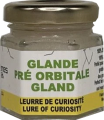 TRIO DE GLANDES , CHEVREUIL, PRÉ-ORBITALES, INTERDIGITALES / EXTRÊMES C.G.