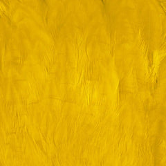 SHOR FISHING COU DE POULE POUR SAUMON