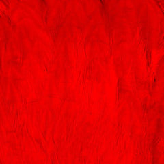 SHOR FISHING COU DE POULE POUR SAUMON