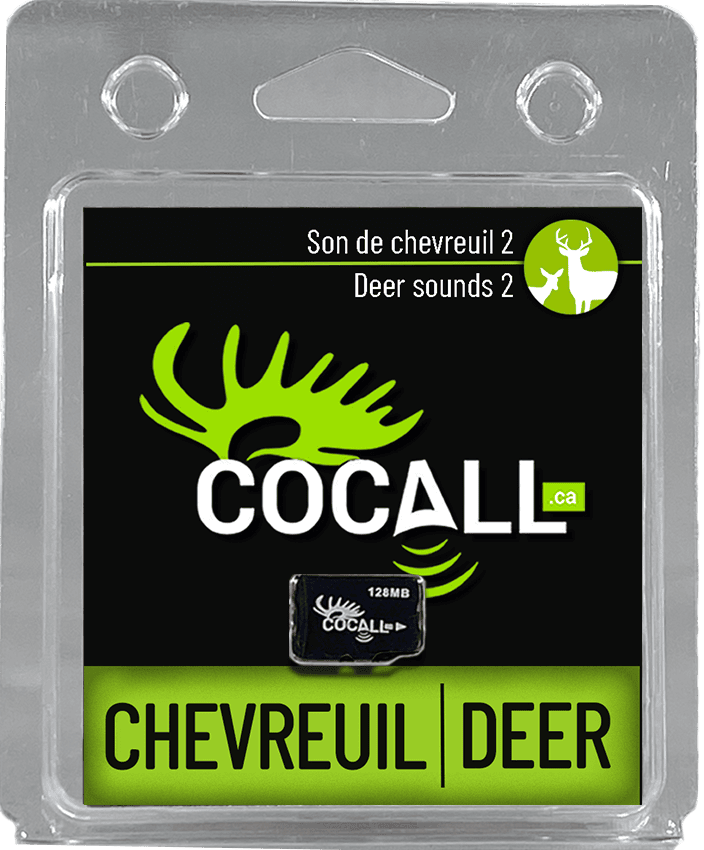 SONS DE CERFS DE VIRGINIE #2 / COCALL