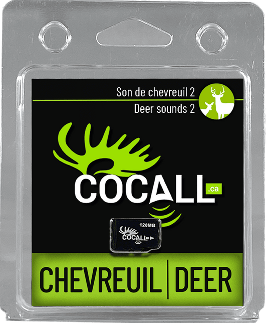 SONS DE CERFS DE VIRGINIE #2 / COCALL