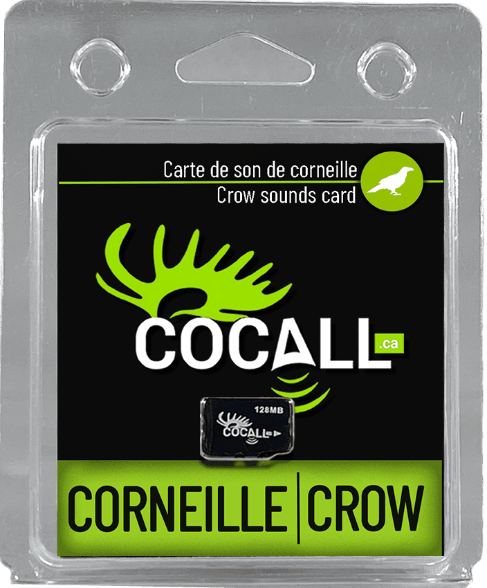 CORNEILLE / COCALL