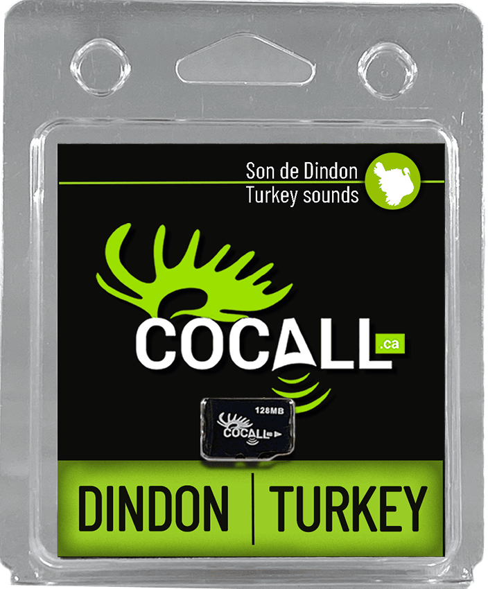 SONS DINDON / COCALL