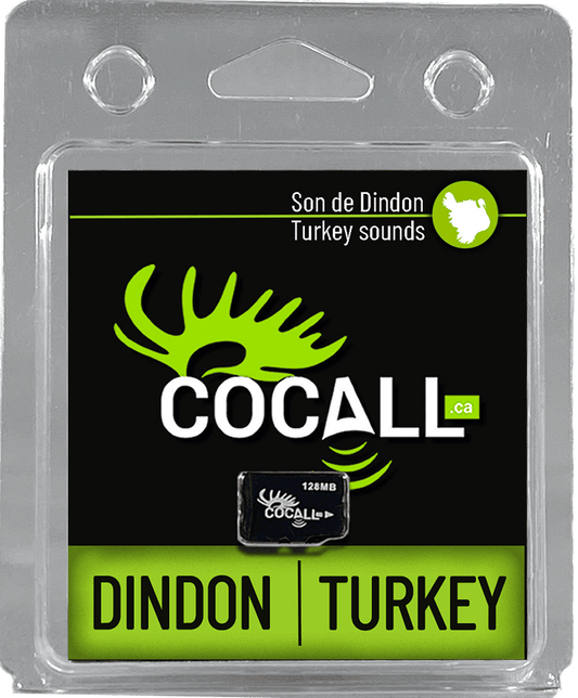 SONS DINDON / COCALL