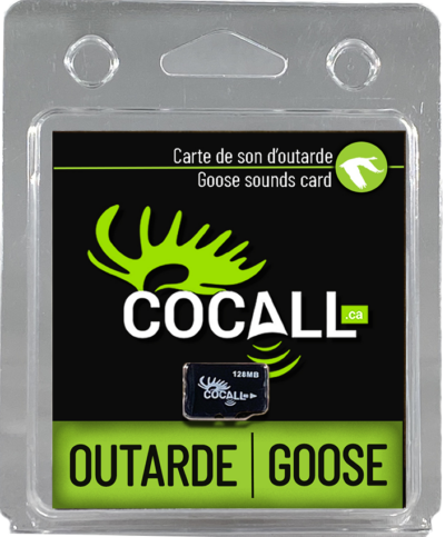 CARTE DE SONS D'OUTARDE / COCALL