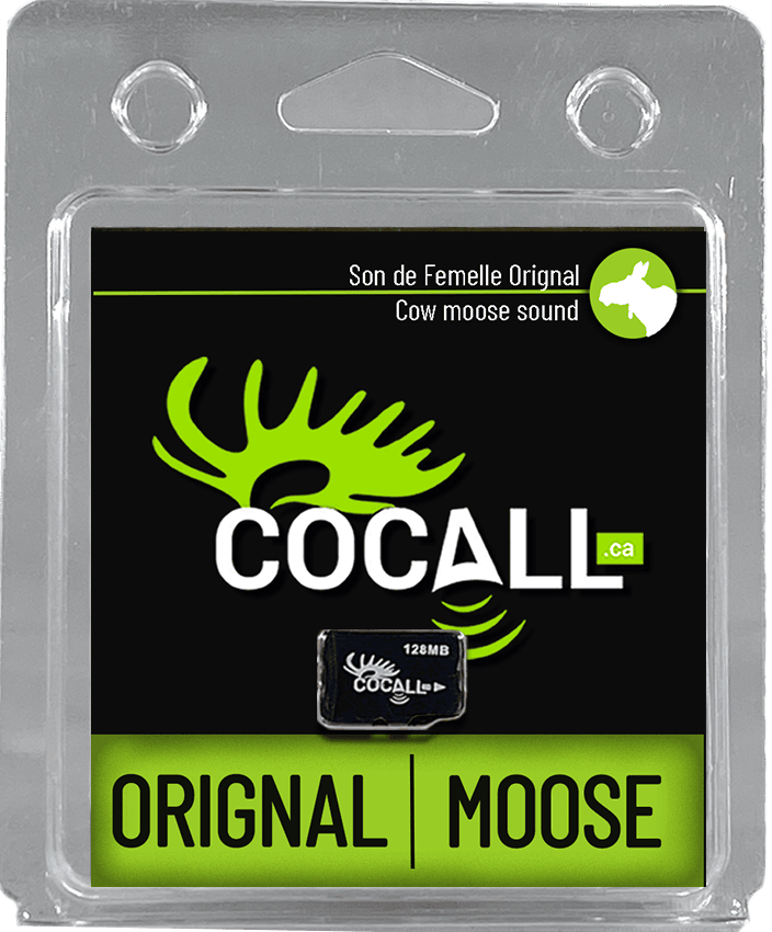 ORIGNAL FEMELLE / COCALL